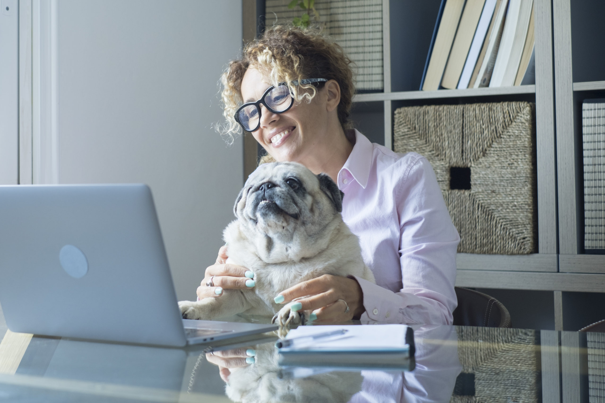 The Benefits of Pet Therapy for Office Employees